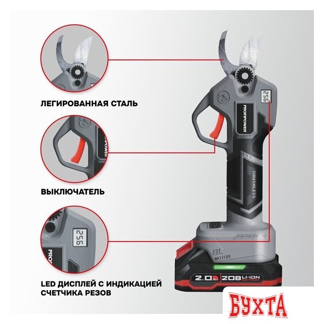 Наборы электроинструментов Profipower ProfiSet-2G20 E0217 (цепная пила, секатор, 2 АКБ) 4