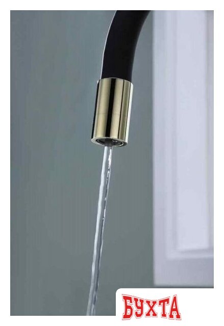 Смеситель Paulmark Salix Sa213419-G (черный/золото) 2