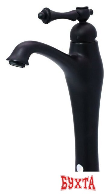 Смеситель Ganzer GZ 77013C (черный)