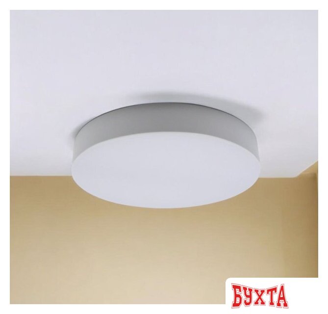 Светильник TruEnergy Aura 11152 5