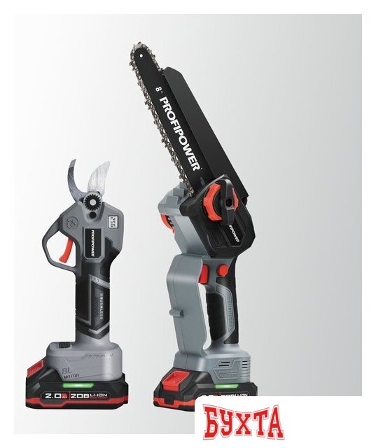 Наборы электроинструментов Profipower ProfiSet-2G20 E0217 (цепная пила, секатор, 2 АКБ) 2