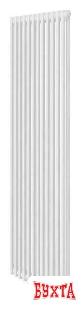 Стальной трубчатый радиатор Royal Thermo Insignia C2180 - 12 секций RAL9016 (дубль)