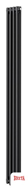 Стальной трубчатый радиатор Royal Thermo Insignia C2180 - 04 секций RAL9005m