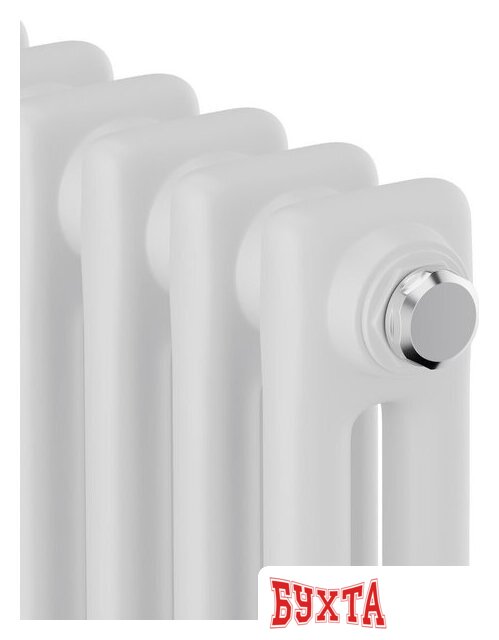 Стальной трубчатый радиатор Royal Thermo Insignia C2180 - 06 секций RAL9016 3