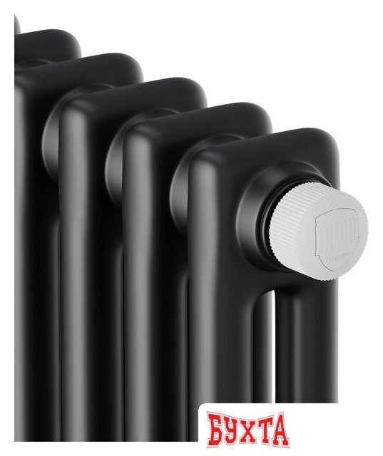 Стальной трубчатый радиатор Royal Thermo Insignia VC2180 - 06 секций RAL9005m 3