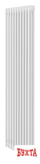 Стальной трубчатый радиатор Royal Thermo Insignia VC3180 - 10 секций RAL9016 1