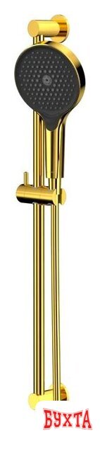 Душевой гарнитур Whitecross SET51TOPGL (золото) 1