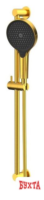 Душевой гарнитур Whitecross SET51TOPGLB (брашированное золото) 1