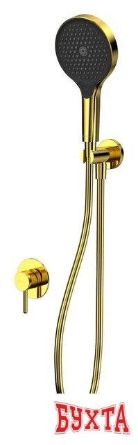 Душевой гарнитур Whitecross Y YSET02TOPGL (золото) 1