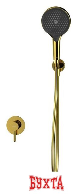 Душевой гарнитур Whitecross Y YSET02TOPGL (золото) 2