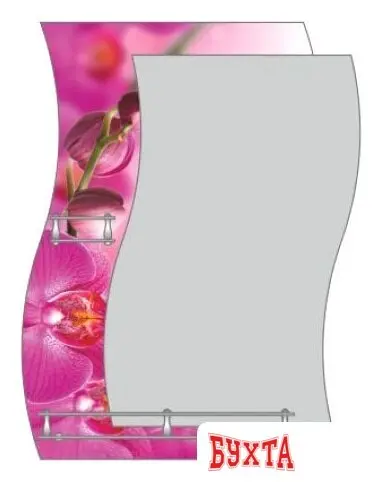 Мебель для ванных комнат Алмаз-Люкс Зеркало Розовые орхидеи F-421-4