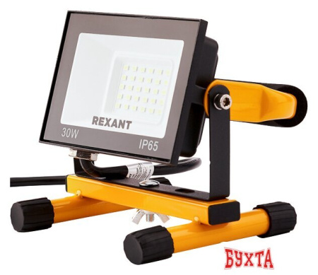 Уличный прожектор Rexant 605-021